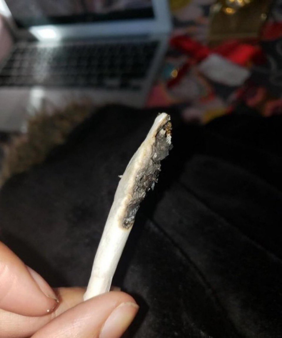 If this crypto cycle was a joint