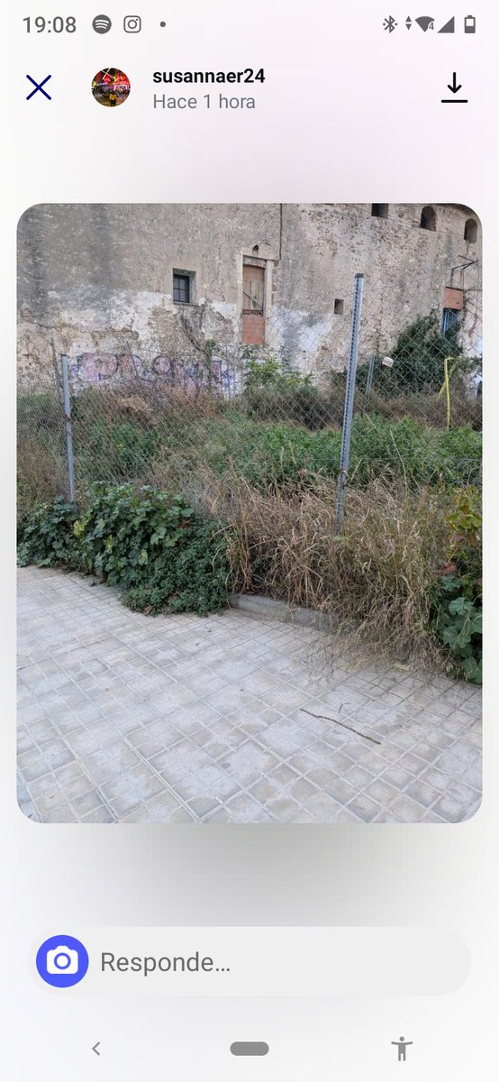 areagossosbdn's tweet image. ⚠️AVISO PROCESIONARIA⚠️
 Nos pasan aviso de presencia de oruga procesionaria en dos nuevas ubicaciones en #Badalona.
📷 1 y 2 entrada Parc del turó d'en Carigt #Sistrells
📷 3 y 4 C/ Jacint Verdaguer (Junto masia Ca l'Andal) #Bufalá
@MediambientBDN
@soniaegea1
📣📣📣