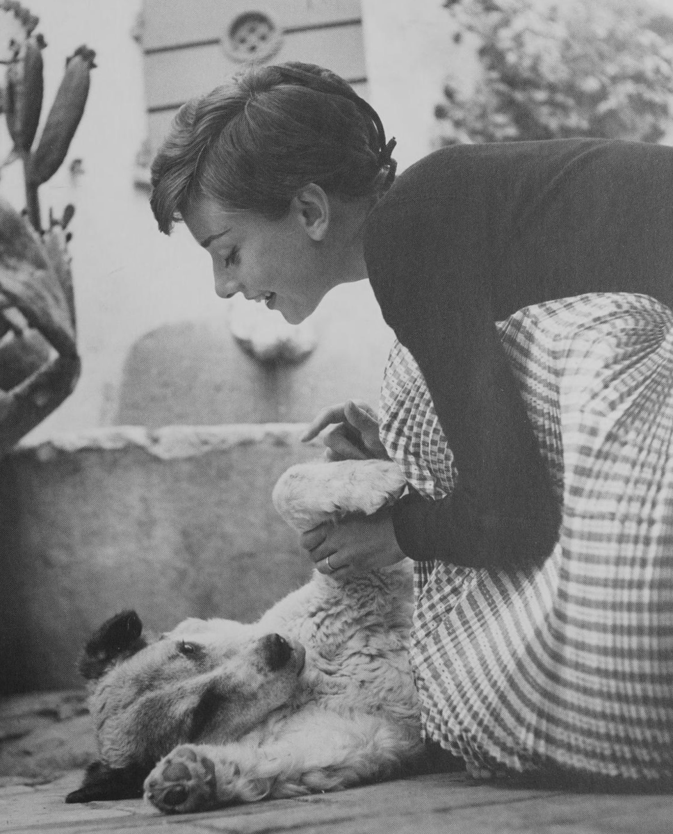 𝙧𝙚𝙢𝙞 tweet media