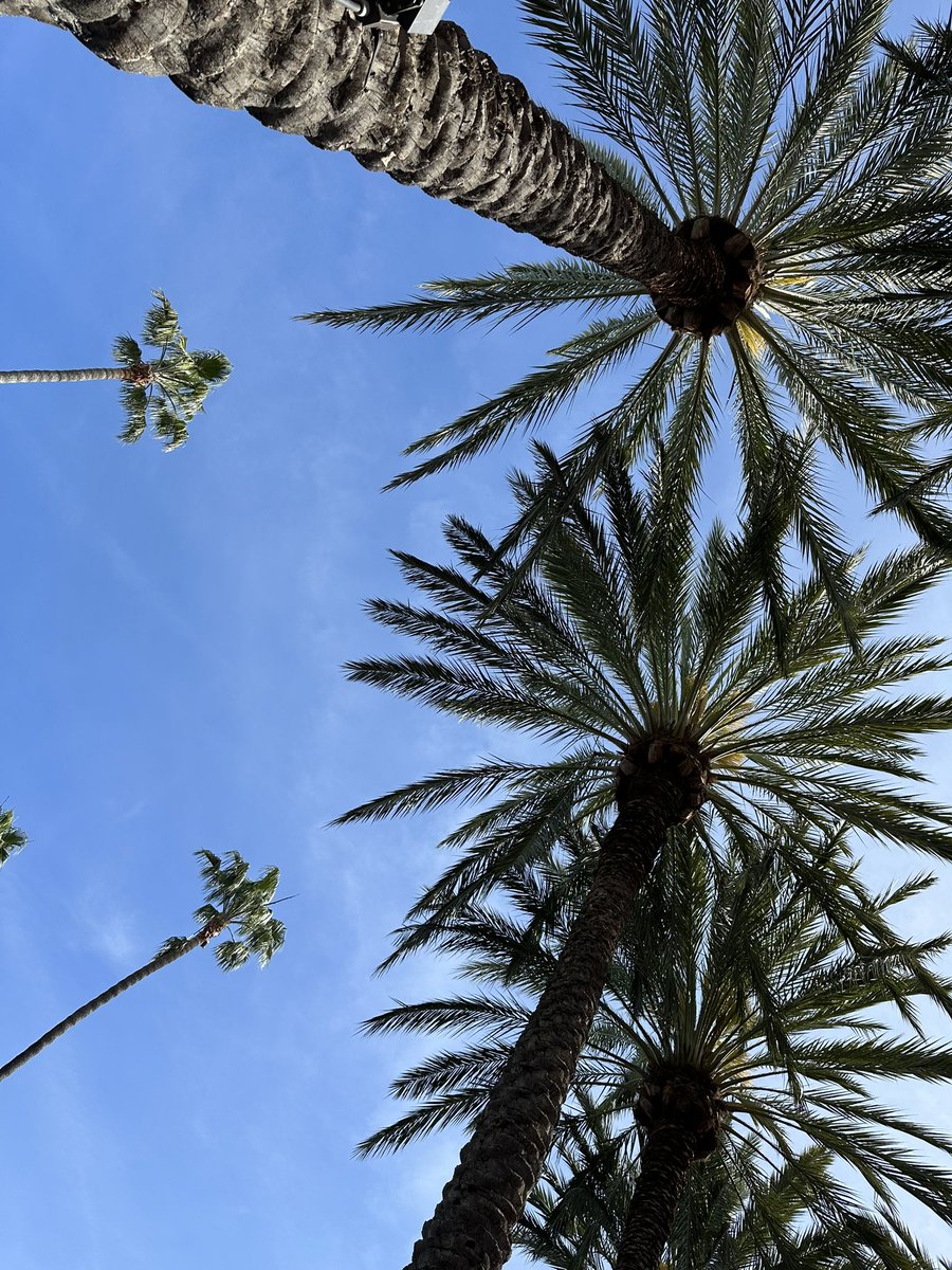 venturesnethq's tweet photo. Happy Saturday one and all. Enjoy your weekend!! 🌴☀️ https://t.co/pVjasgP26o