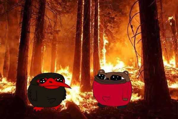 Slugger Stark tweet media