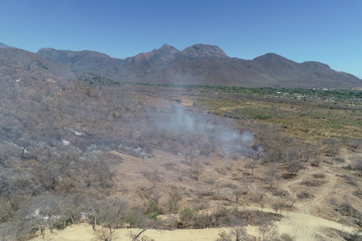 GobdelCesar's tweet photo. ¡Sigue nuestra marcha contra los incendios forestales! 

El Gobierno del Cesar atiende emergencia en #Valledupar. Hoy acudimos ante el llamado en la vía a Sabana Crespo, donde el fuego ha avanzado hacia las montañas.

Los organismos de socorro, el Cuerpo de Bomberos y el Ejército Nacional, han trabajado arduamente para mitigar el daño ambiental causado por las llamas.