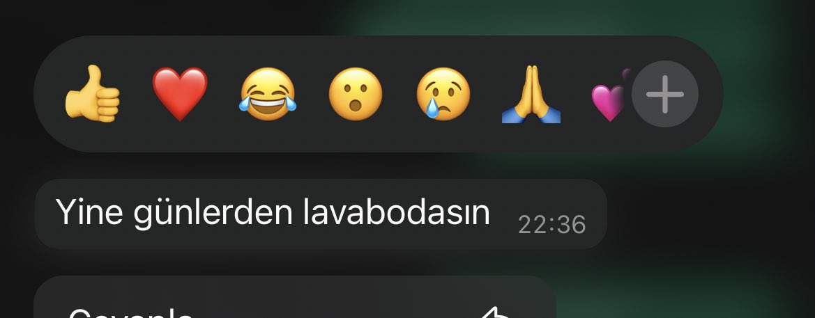 bethimleme's tweet photo. reis süphelendi reis anladi https://t.co/foTf3oMZcR