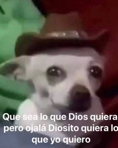 LaTayMexicana's tweet image. Me da risa que ya nadie está intentando adivinar la fecha del anuncio/lanzamiento de rep y debut tv.