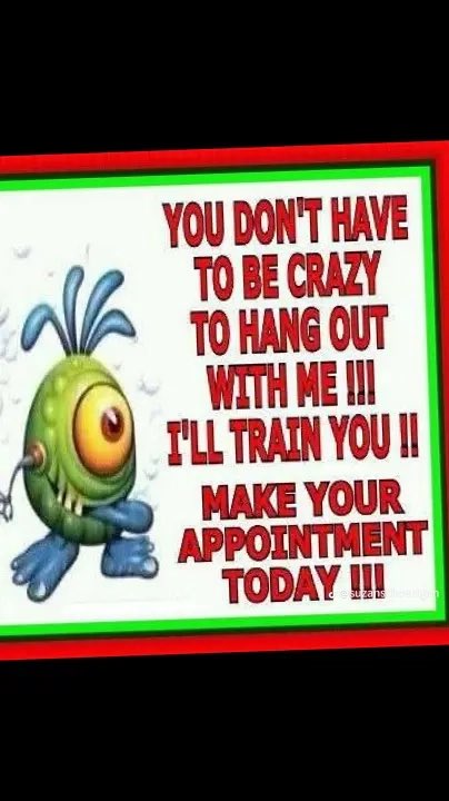 PontePython's tweet image. 