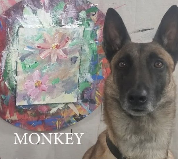 CryptoNo1ob's tweet photo. the next 1B coin is here
$monkey dog Picasso

7ZRgHFqwdzvqhfmg19rSQBD6CZe5iEDkuZoaNUhpump https://t.co/Em71IJp4q5