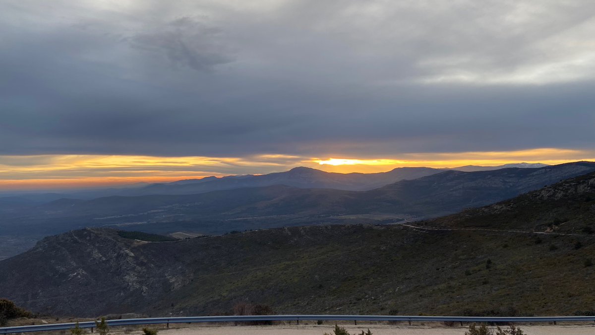 Nieves Villalón🩵🩷🧡💜 tweet media