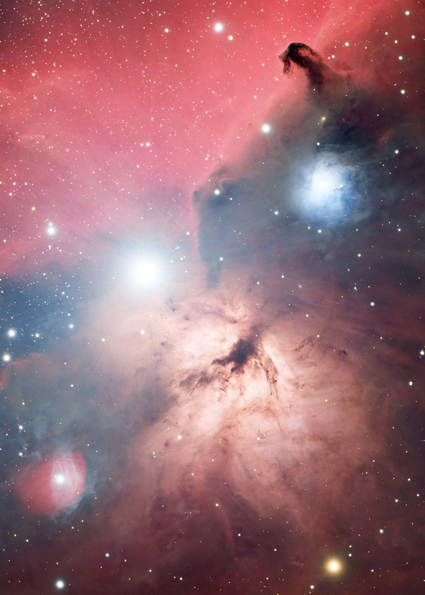 The Horsehead and Flame Nebulae captured with two telescopes - the RASA 8 &amp; ASI294MM for the Ha and the Esprit 100 &amp; ASI2600MC  for the colour #horseheadnebula #astronomy #astrophotography #space