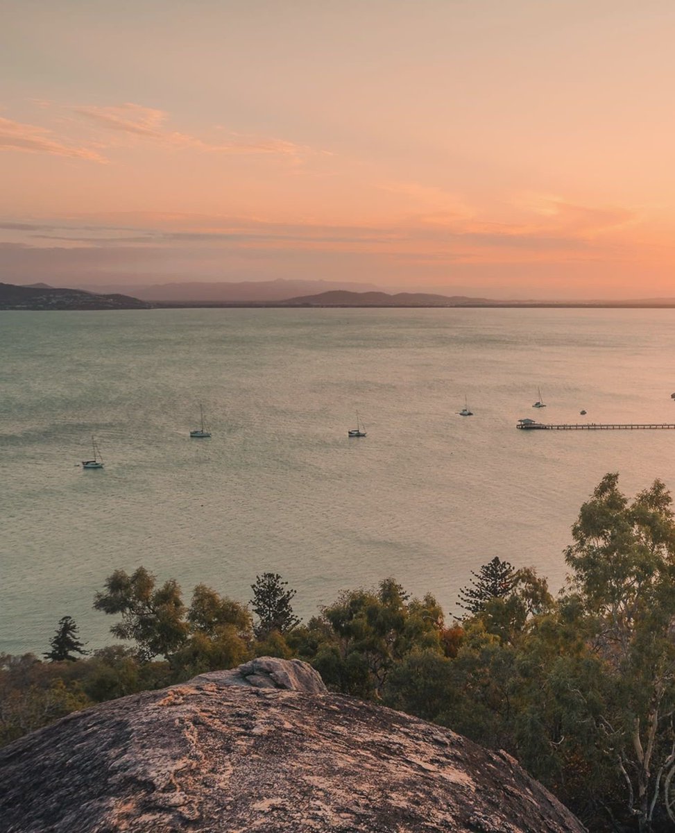 TownsvilleAus's tweet photo. Island life chose us 🌴✨
Who else is ready to soak up some Maggie magic?
📸@mrc_pixel_mafia
#magneticisland #thisismagneticisland #townsvillenorthqueensland #upforunexpected #thisisqueensland #seeaustralia https://t.co/61dT8PdHDQ