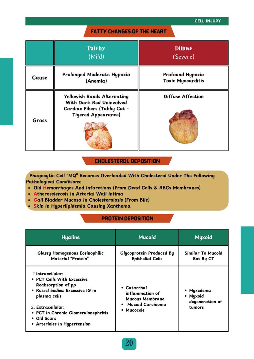 أصدقائي طلاب أولى طب، عدنا إليكم من جديد بكورس الـ General Pathology
الكورس يشتمل:
Cell injury
Inflammation
Healing &amp; repair
Neoplasia
Granuloma
Hemodynamic disorders
Immune
الكورس مجاني بالكامل ومتاح على يوتيوب
youtube.com/playlist?list=…
قناة تليجرام:
t.me/+WgiL1WgMzKxlN…

١
