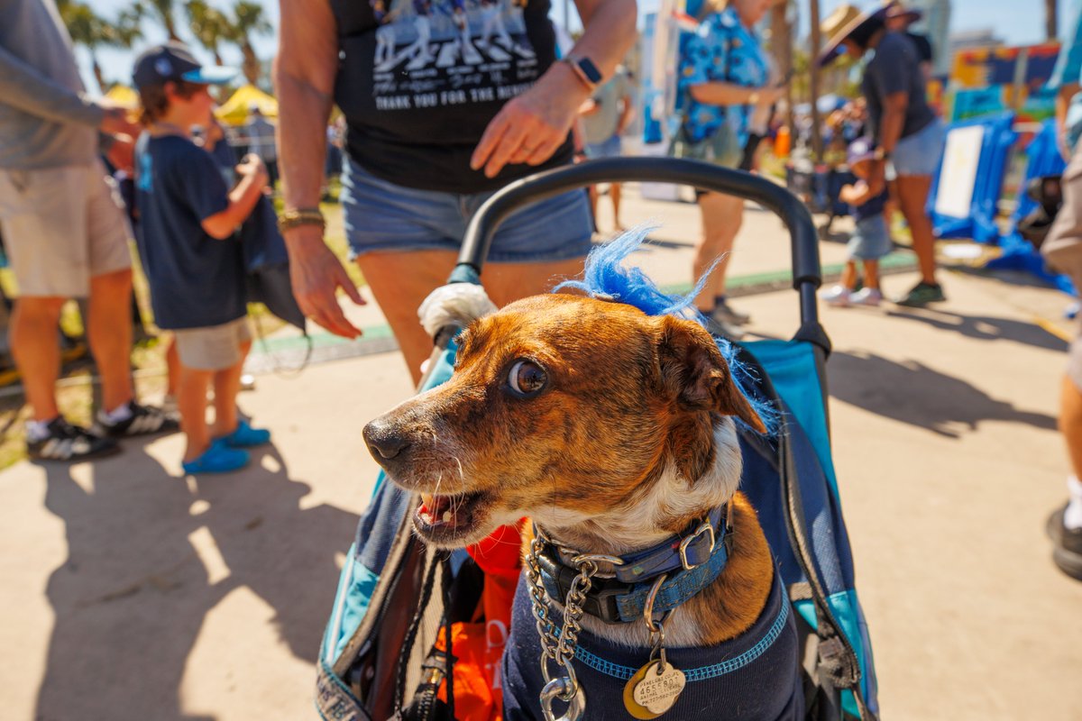 Beautiful day in the Bay