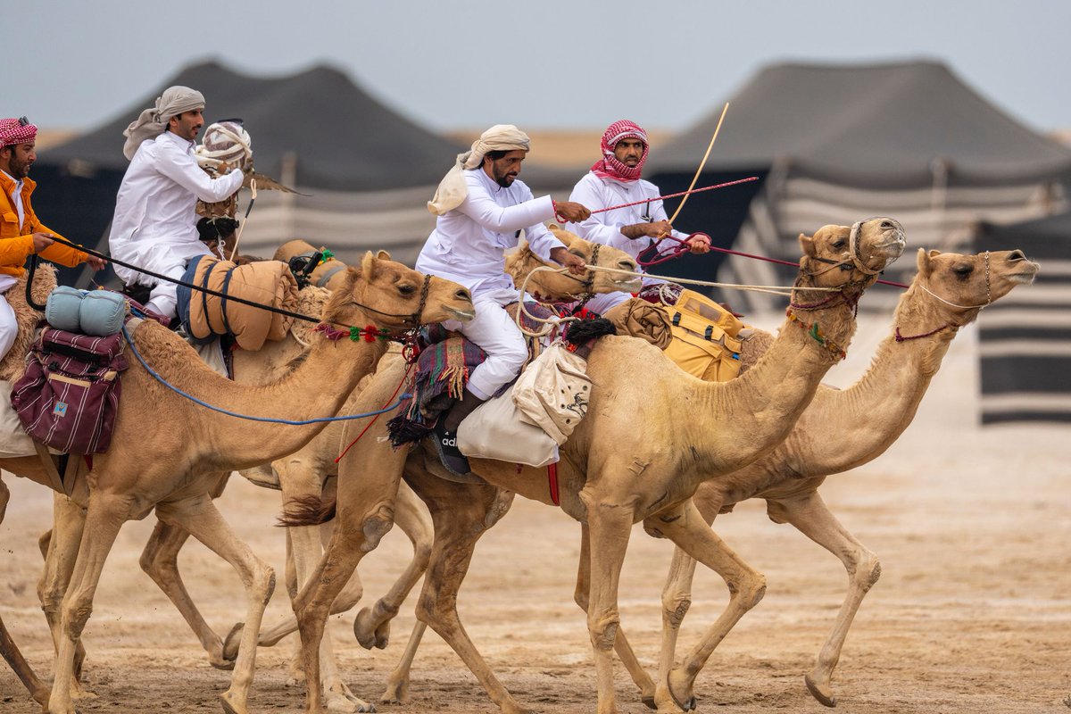 انطلاق منافسات المجموعة الرابعة في بطولة القلايل للصيد التقليدي 2025 
#قنا  #قطر #ثقافة 
ow.ly/jsFy50V0PZ4