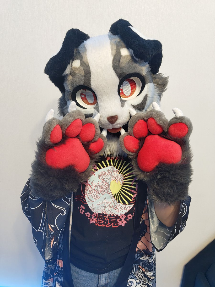 CFerretCraft's tweet photo. Ready kemono partial for bird_creationz (inst) 🫐

#fursuit #furry #commission #kemono https://t.co/6SrogHLbIB