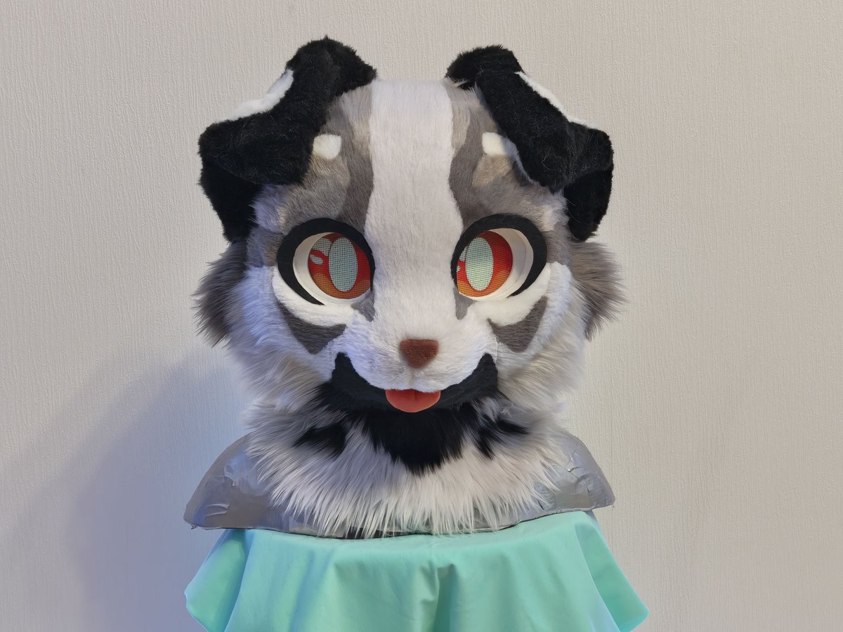 CFerretCraft's tweet photo. Ready kemono partial for bird_creationz (inst) 🫐

#fursuit #furry #commission #kemono https://t.co/6SrogHLbIB