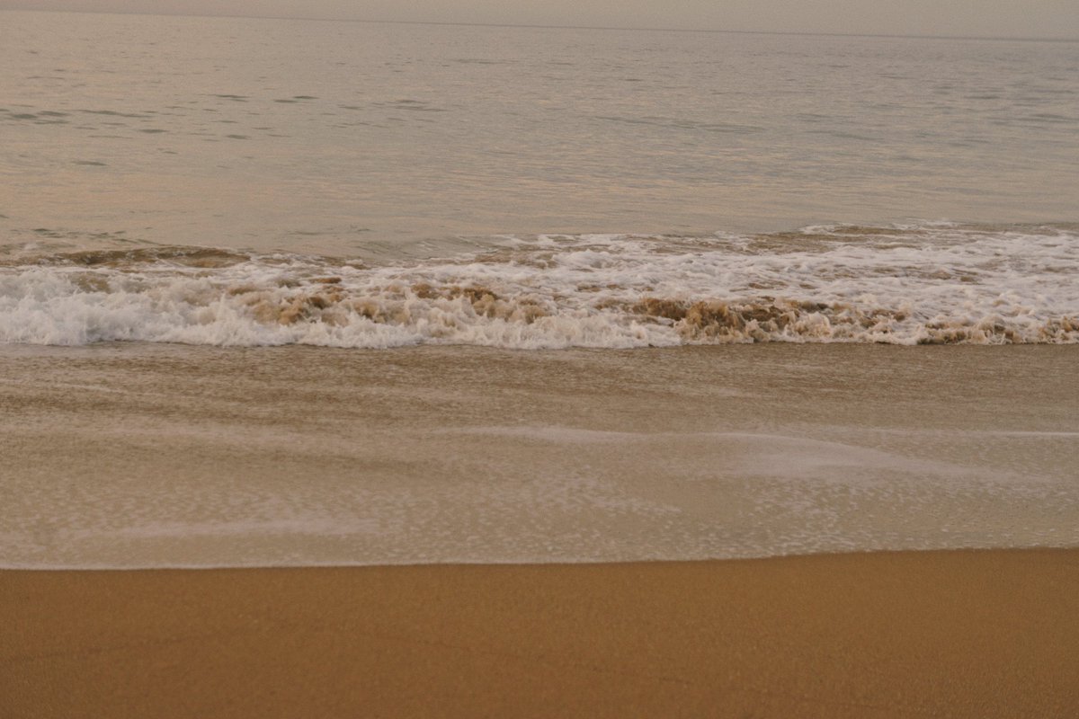 🌸🌸🌸🌸🌸🌸🌸