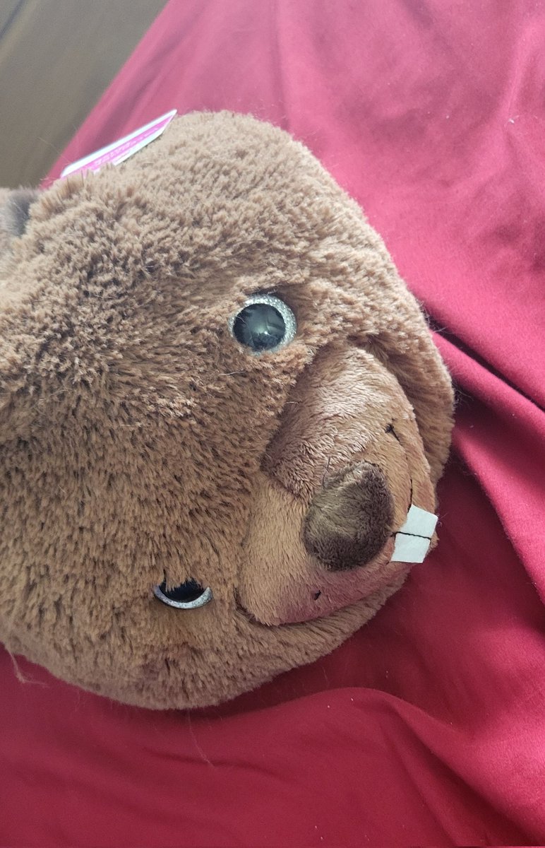 OzzyOtterPops's tweet photo. Purchased this weirdo for approximately $5 at Walmart https://t.co/VWGKevP6VB