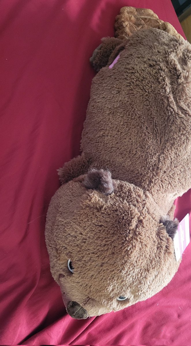 OzzyOtterPops's tweet photo. Purchased this weirdo for approximately $5 at Walmart https://t.co/VWGKevP6VB