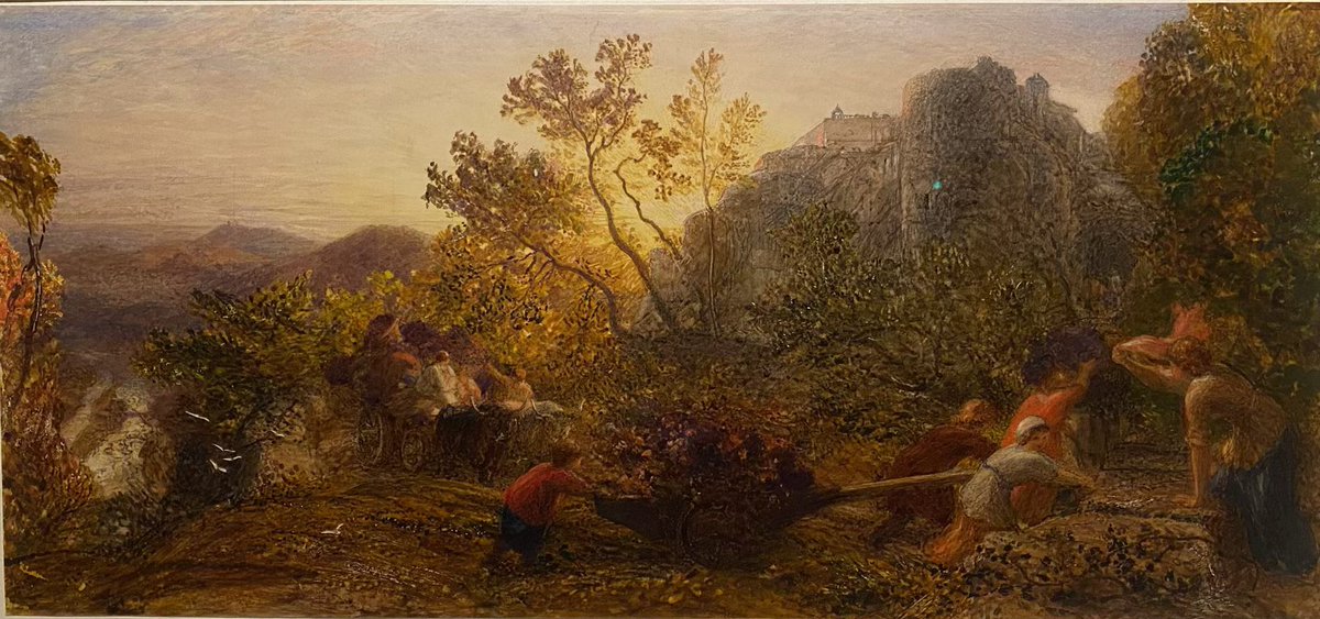 Christiana Payne tweet media