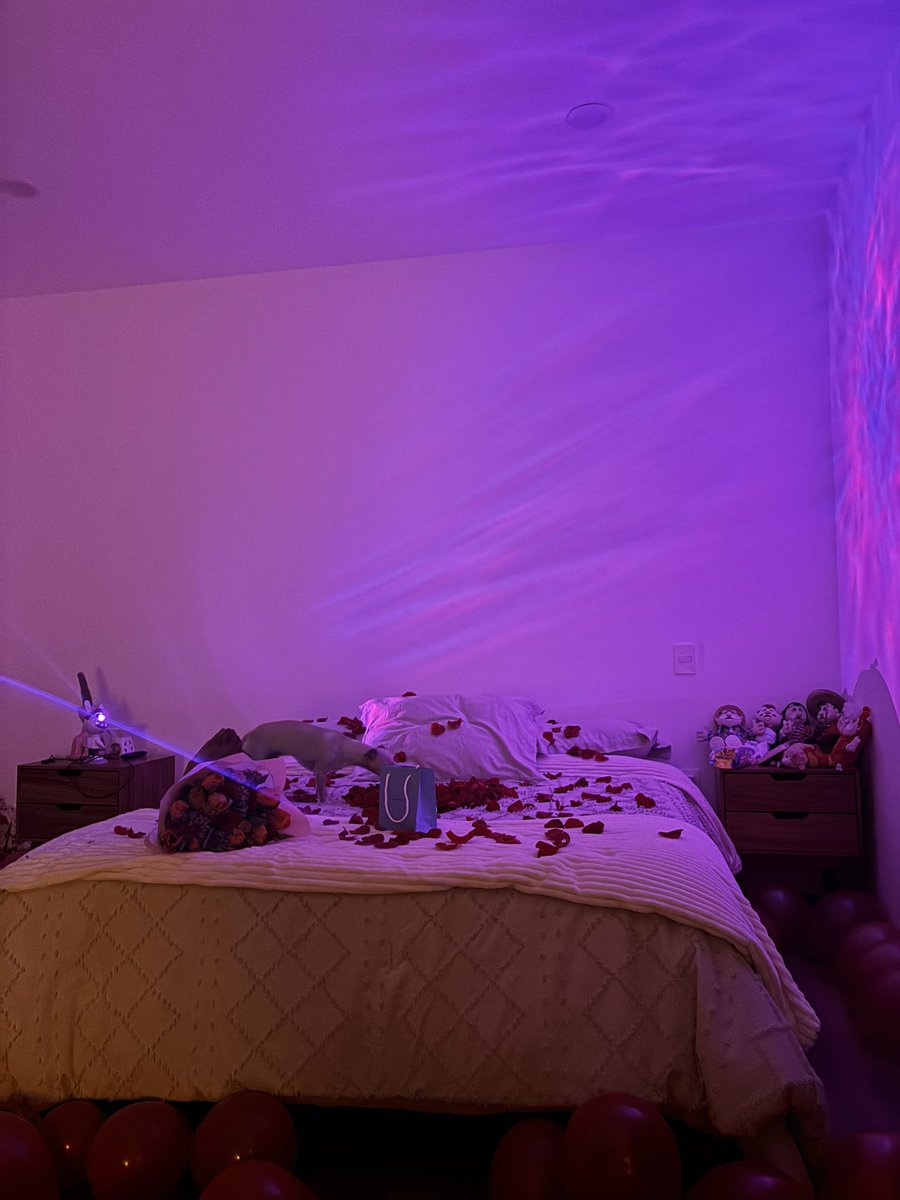 abichita_.a tweet media