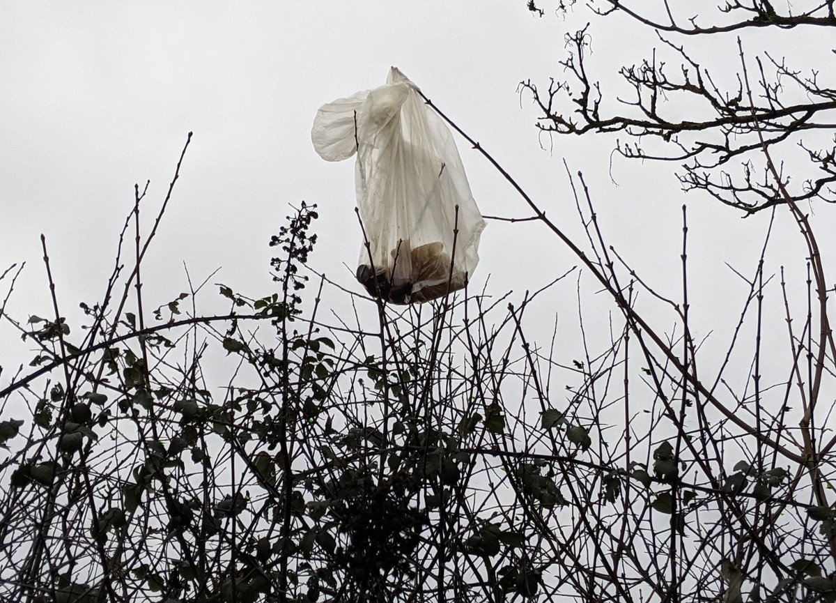 Clean Up Britain tweet media