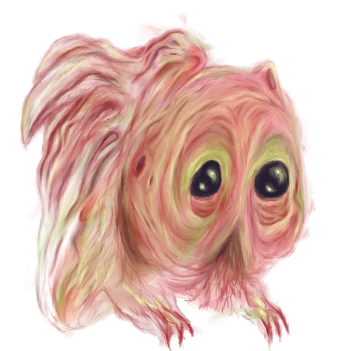 my homunculus