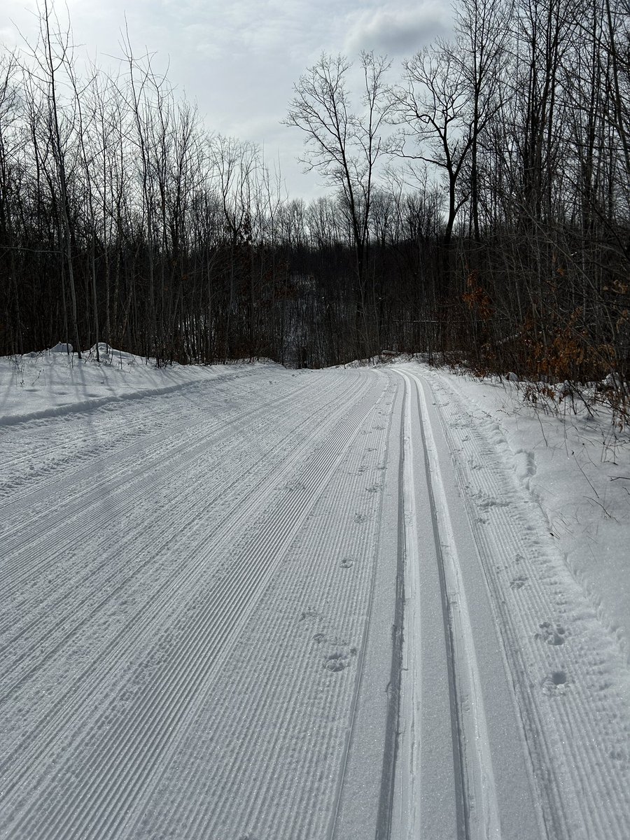 Swartzy03's tweet photo. What a perfect Wisconsin winter day!  Been awhile since we had enough snow to skate ski. ❄️ 🎿 https://t.co/Pmi6FBtpul