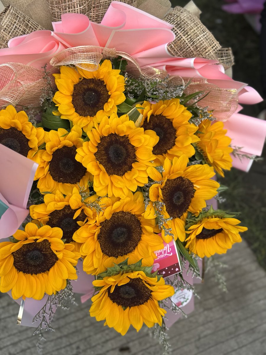 sunflowerchives's tweet image. pretty🌻