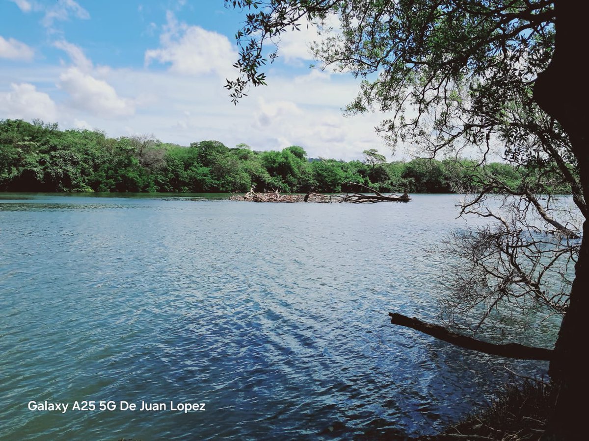 Guardas de áreas protegidas efectuaron recorrido y monitoreo terrestre en resguardo y protección de las anidaciones de las especies de Garrobos negros e Iguanas verdes en el sector Costa de Beto y Peñón Grande, municipio de Santa Teresa, Carazo.

#AmorAlaMadreTierra
