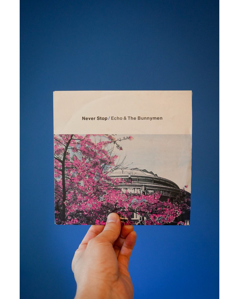 joe_hit's tweet photo. Songs of today’s run

Echo &amp; The Bunnymen / Never Stop

馬事公苑〜砧公園をRUN

#songsoftodaysrun #echoandthebunnymen #neopsychedelic #neopsych #newwave #indiepop #neoacoustic https://t.co/rkYGaakrjJ