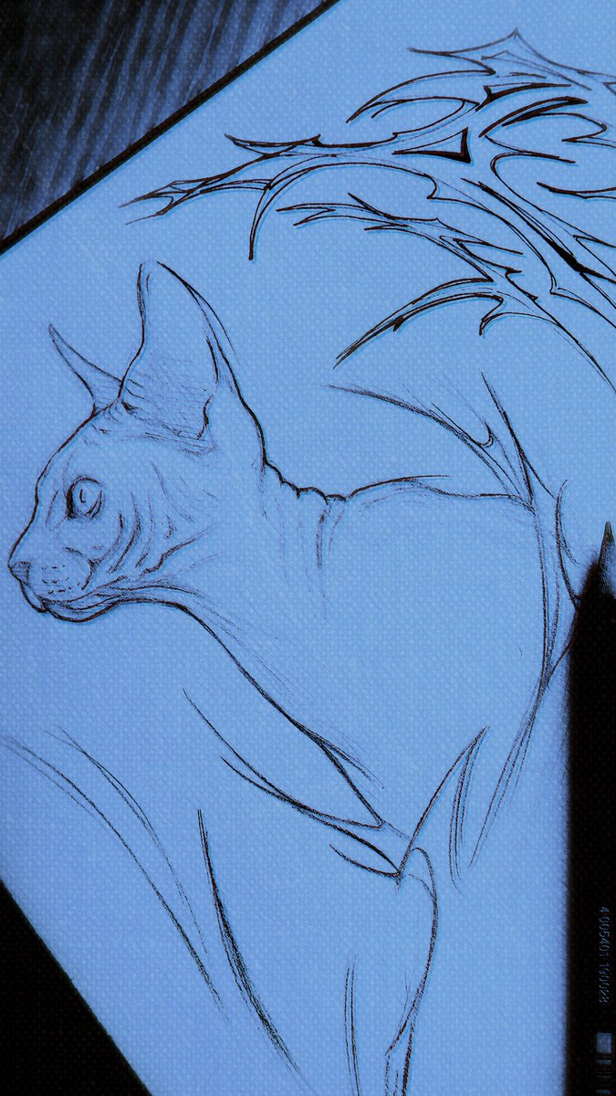 another day, another drawing. 
#traditionalart #sketch #art #cybersigilism #sphynx