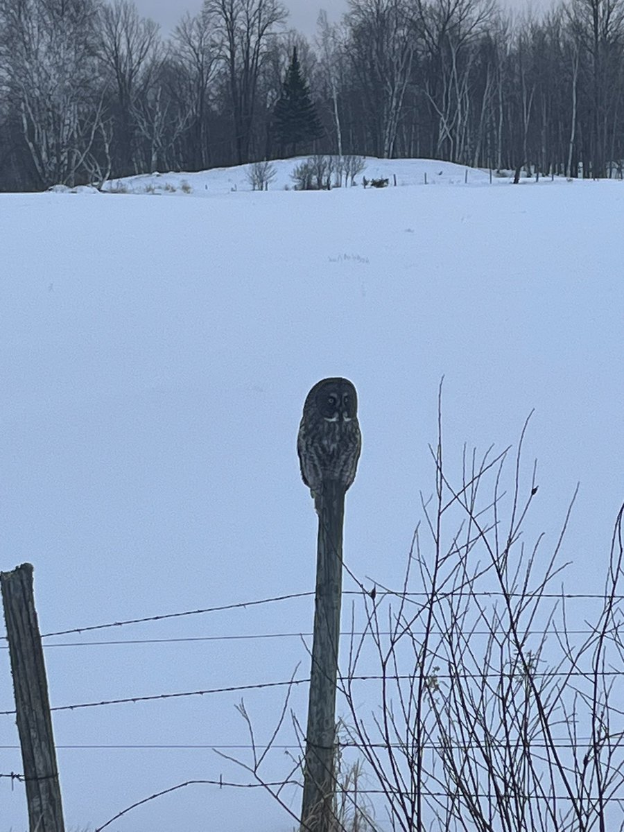 BucksNBooze's tweet photo. In this episode Yetter shares his 2024 deer hunt with us while we enjoy some Elijah Craig bourbon. We also talk about ice fishing, owls, and what everyone is up to this winter. Please join us for the start of season 3.

https://t.co/BCqJeXvNlR

https://t.co/I5PwaJJ7N4 https://t.co/tCVnF5ogDj