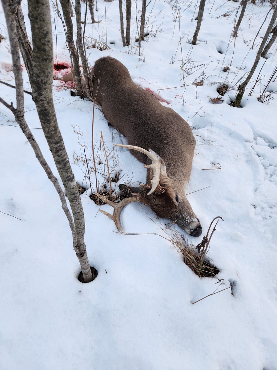 BucksNBooze's tweet photo. In this episode Yetter shares his 2024 deer hunt with us while we enjoy some Elijah Craig bourbon. We also talk about ice fishing, owls, and what everyone is up to this winter. Please join us for the start of season 3.

https://t.co/BCqJeXvNlR

https://t.co/I5PwaJJ7N4 https://t.co/tCVnF5ogDj