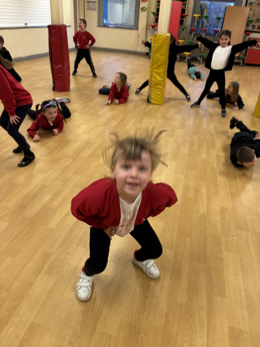 Cnocell y Coed tweet media