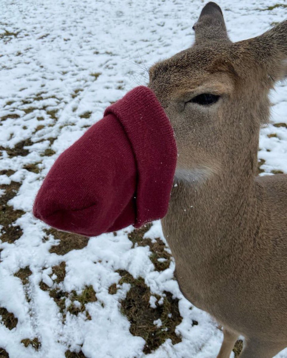 press  [E]  to  equip  silencer