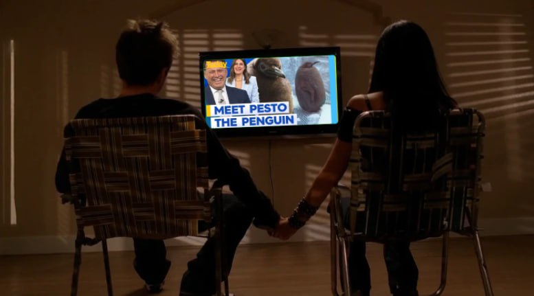 PestoCTO's tweet photo. Hi mom and dad, i'm on tv https://t.co/zwvFAgfwDU