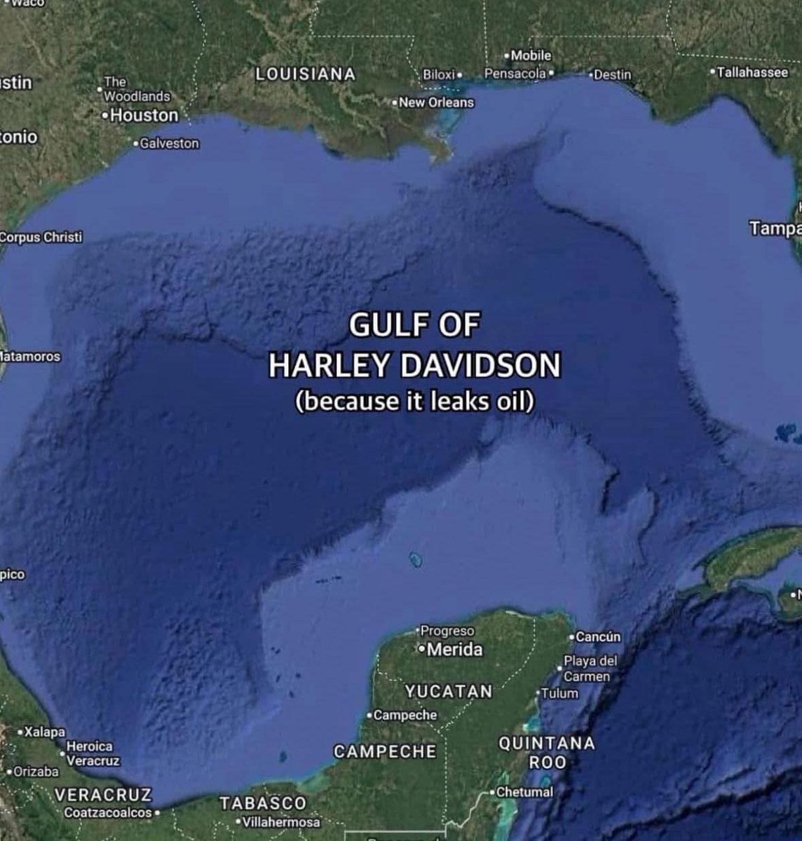 CryptoCiggy's tweet photo. Gulf of Harley Davidson $GoHD #Crypto #memecoin #solana https://t.co/G76QKHNrW7