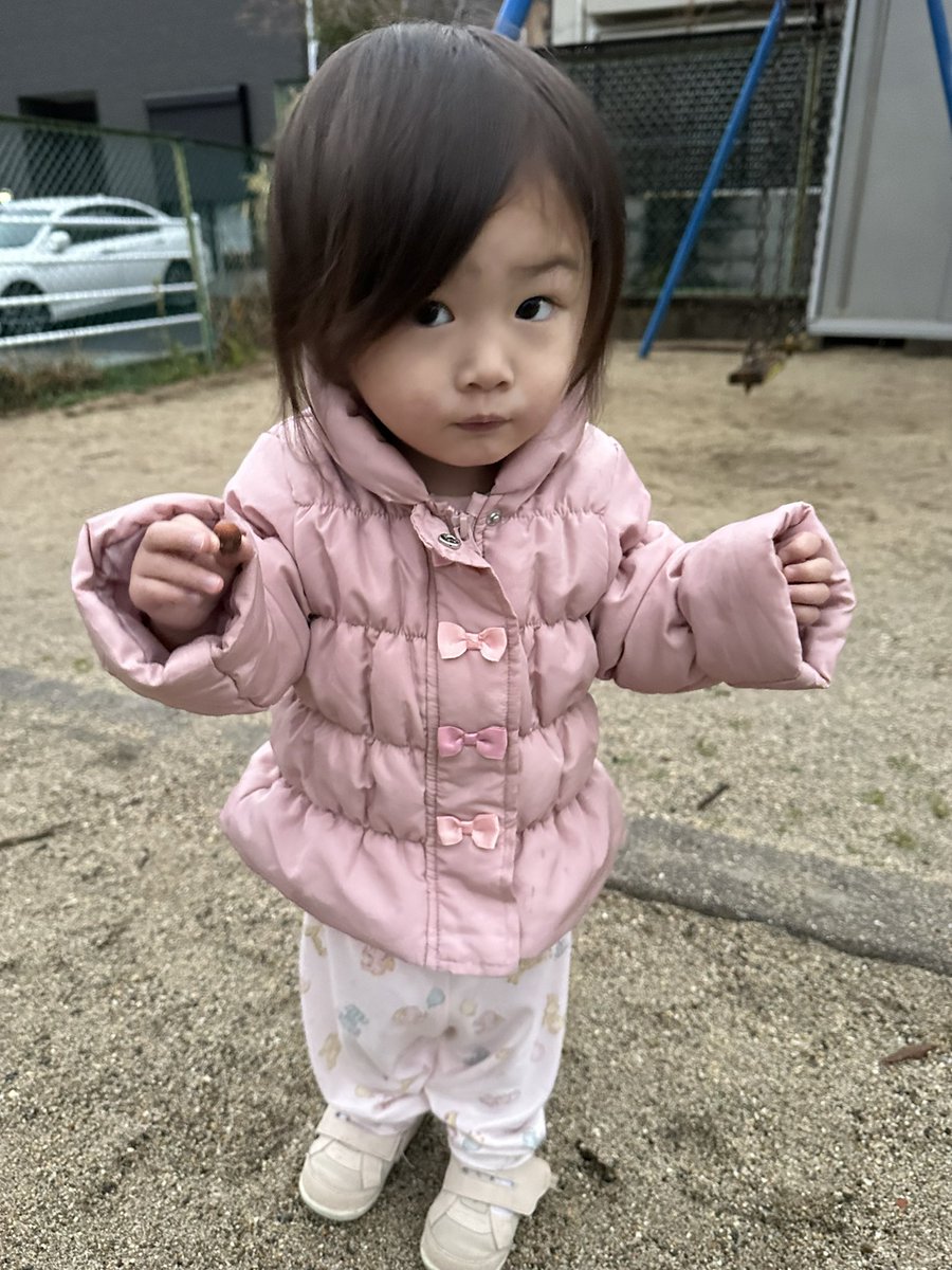 daizo_legends's tweet photo. 朝からどんぐり見つけた https://t.co/rgDHPv81pe