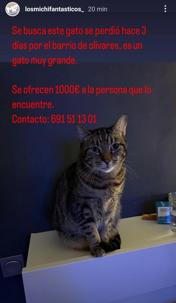 melissa7vb's tweet photo. Perdido en Zamora 😞 https://t.co/B4AuJkYXmS