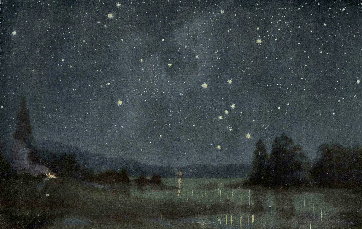 starry sky.⋆.˚𖥔 ݁ ˖๋ ࣭ ⭑