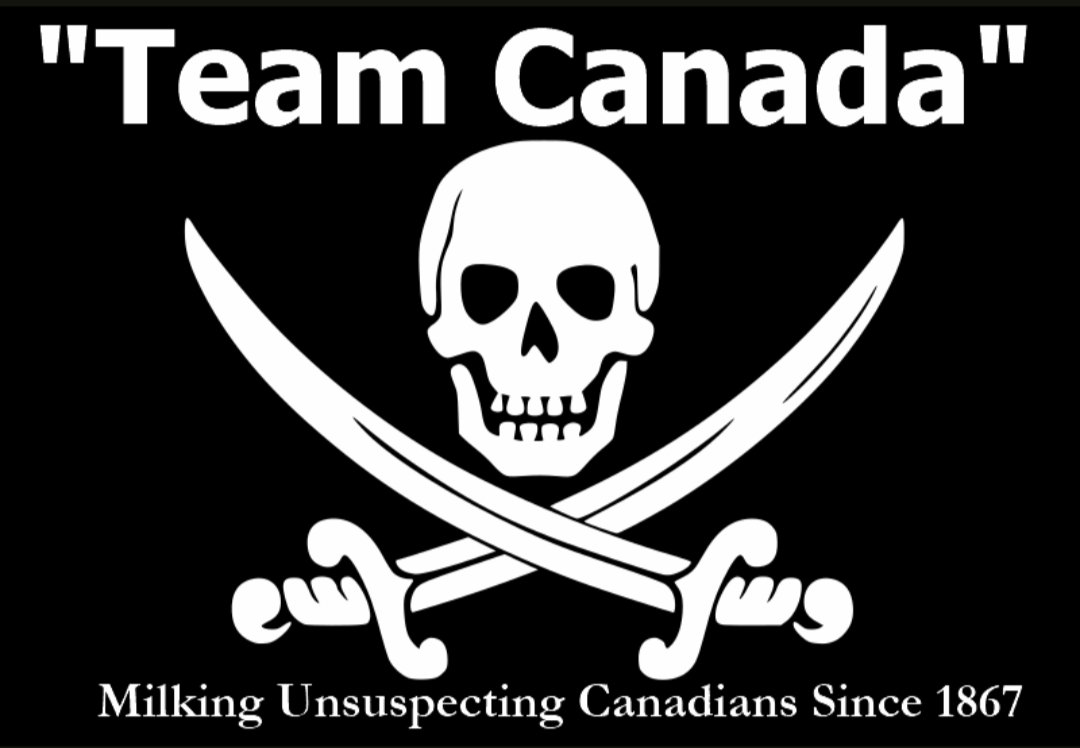 JuliusRuechel's tweet photo. "Honesty in advertising" on Flag Day would look like this in Canada ⬇️ https://t.co/165IZit8TA