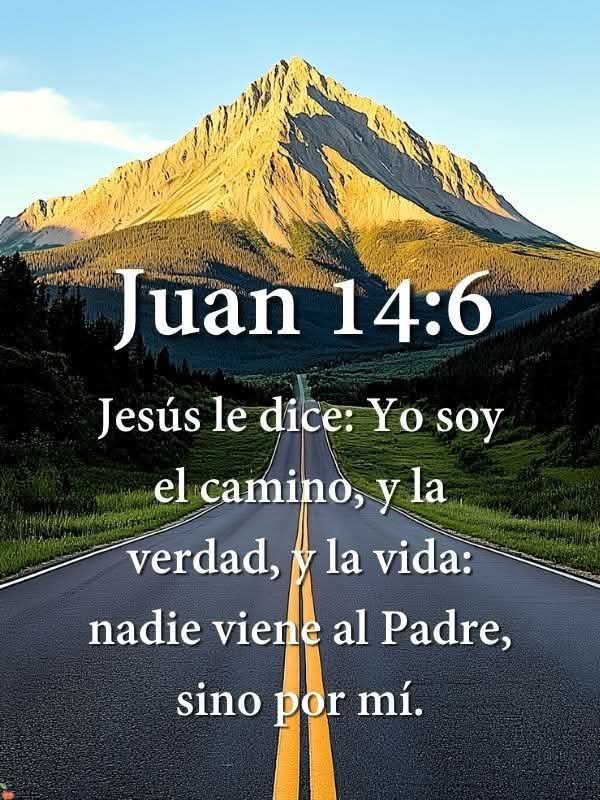 fernando garcia (@fernand81566062) on Twitter photo 