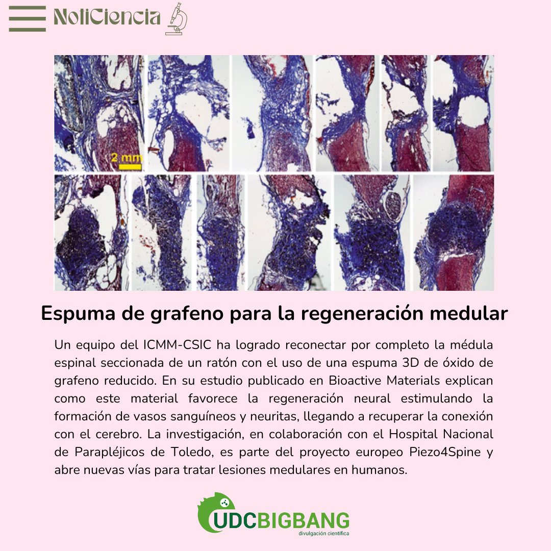 UDCbigbang tweet media