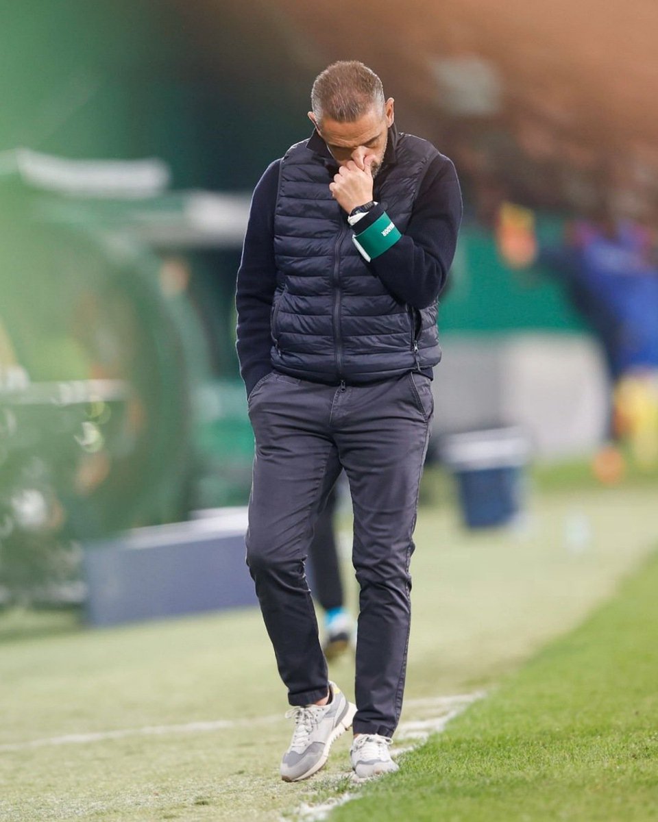 Raça de Leão 🏆🏆 tweet media