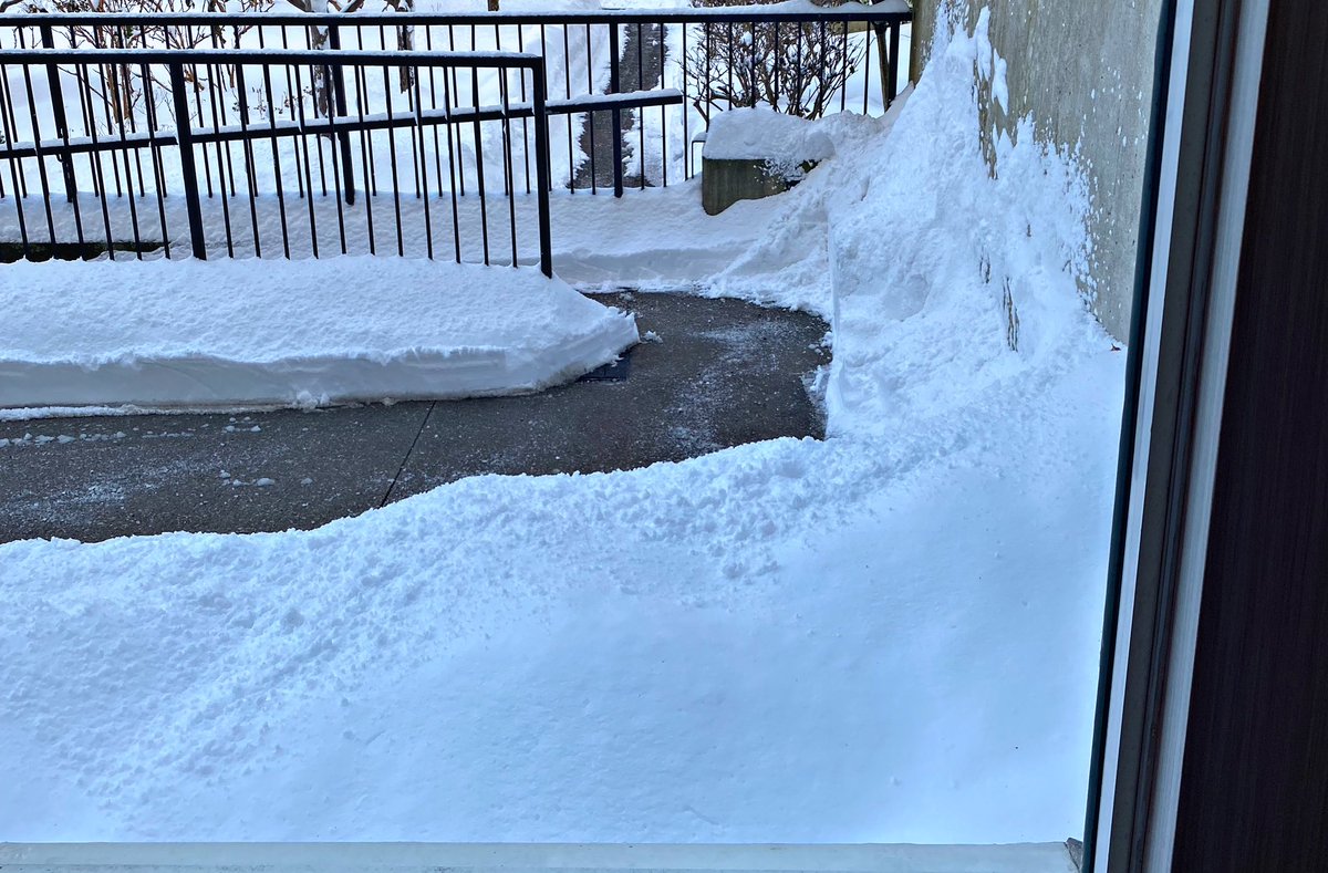 General Andrews tweet media