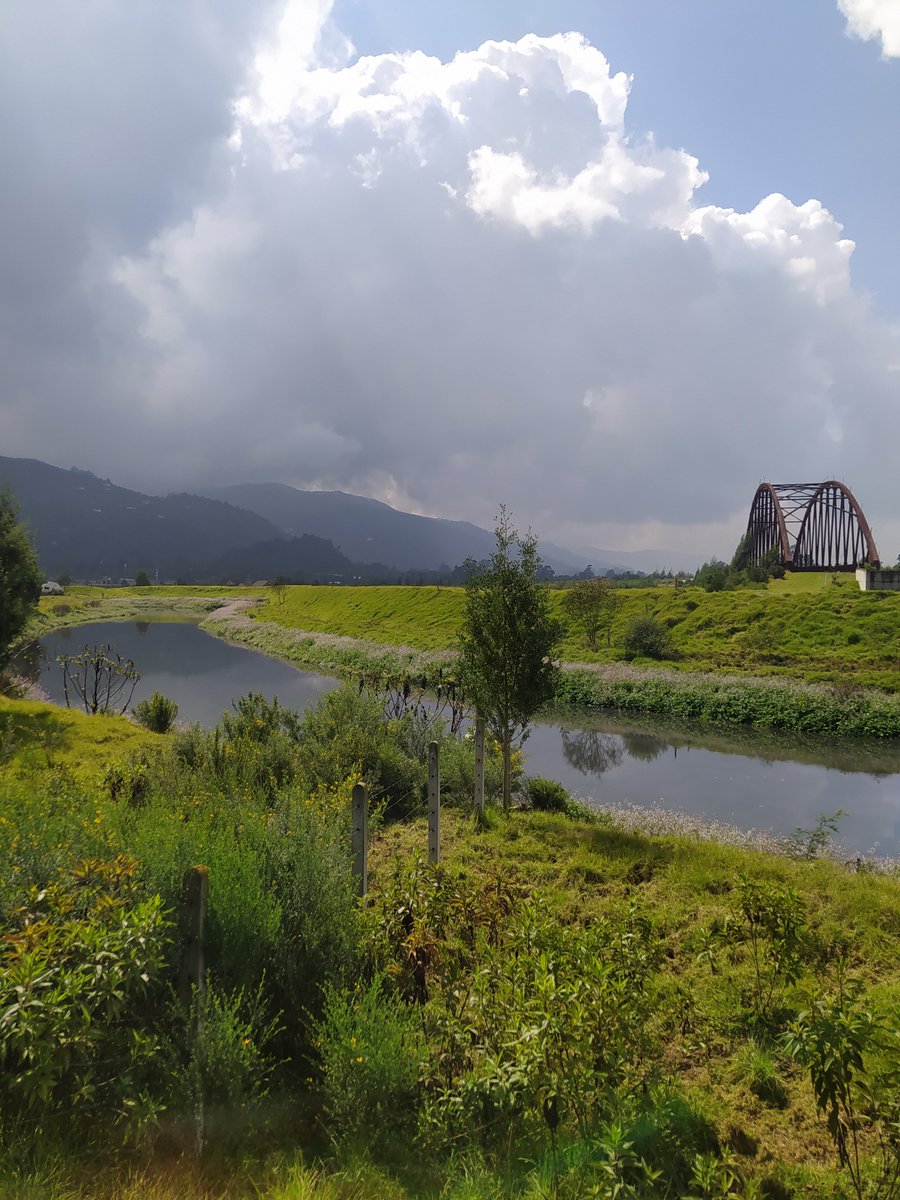 rediaccion's tweet photo. Hoy celebramos nuestro quinto aniversario en el humedal de Los Andes, junto al río Bogotá. Un lugar lleno de vida, amenazado por la troncal de @Accenorte https://t.co/HnvFZ9mZ3p