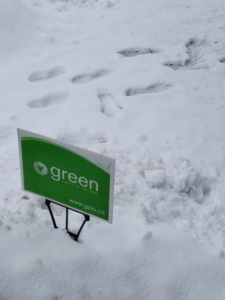 GreenSphereToo tweet picture