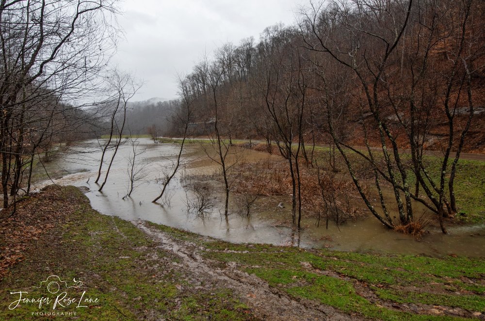 Jens_Starry_Sky's tweet photo. A couple shots from Chief Logan State Park today. The pond is definitely beyond it's normal level 🌧️ #WV #WVweather #weatherpics @StormHour @WSAZBrandon @SpencerWeather @JoshFitzWx https://t.co/nfV6sGzcUO