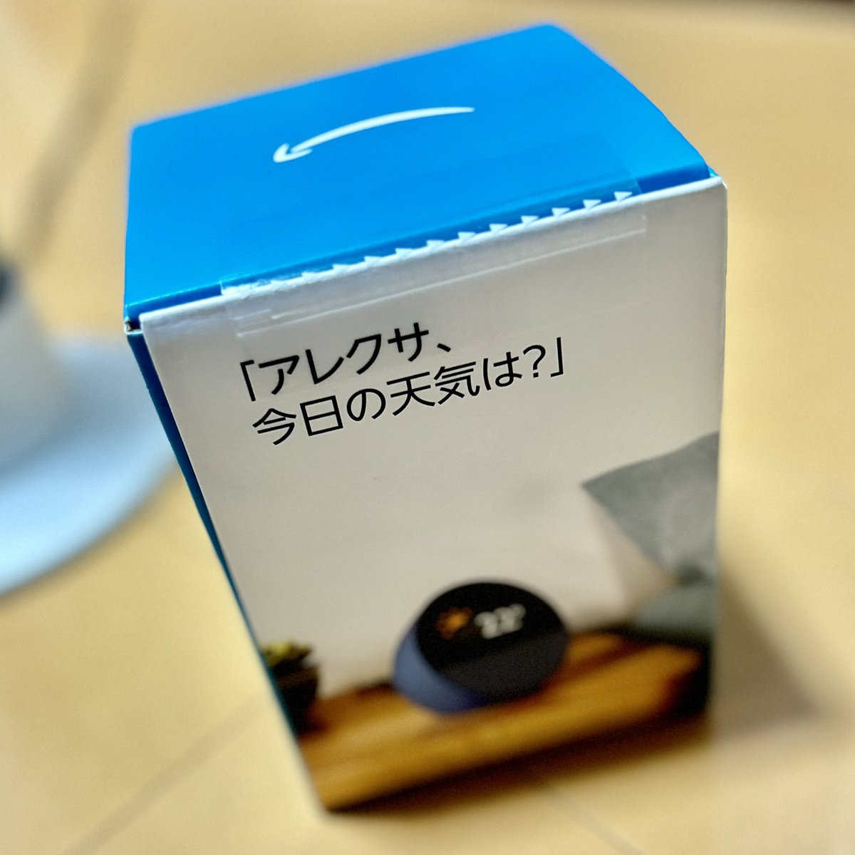 きちゃ！
まいにゅーぎあ？