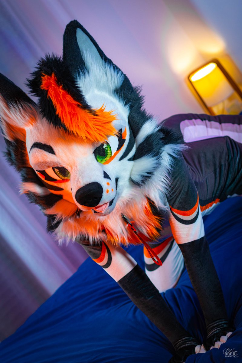 Slutty Fusion ๐พ๐ซ (@fusionfur) on Twitter photo Caught you staring, what's your next move?~ ๐โจ
๐ธby : <a href="/BreakWoofAD/">ServiceTop Squeaky ๐ ๐ @brek.bsky.social</a> Caught you staring, what's your next move?~ ๐โจ
๐ธby : <a href="/BreakWoofAD/">ServiceTop Squeaky ๐ ๐ @brek.bsky.social</a>
