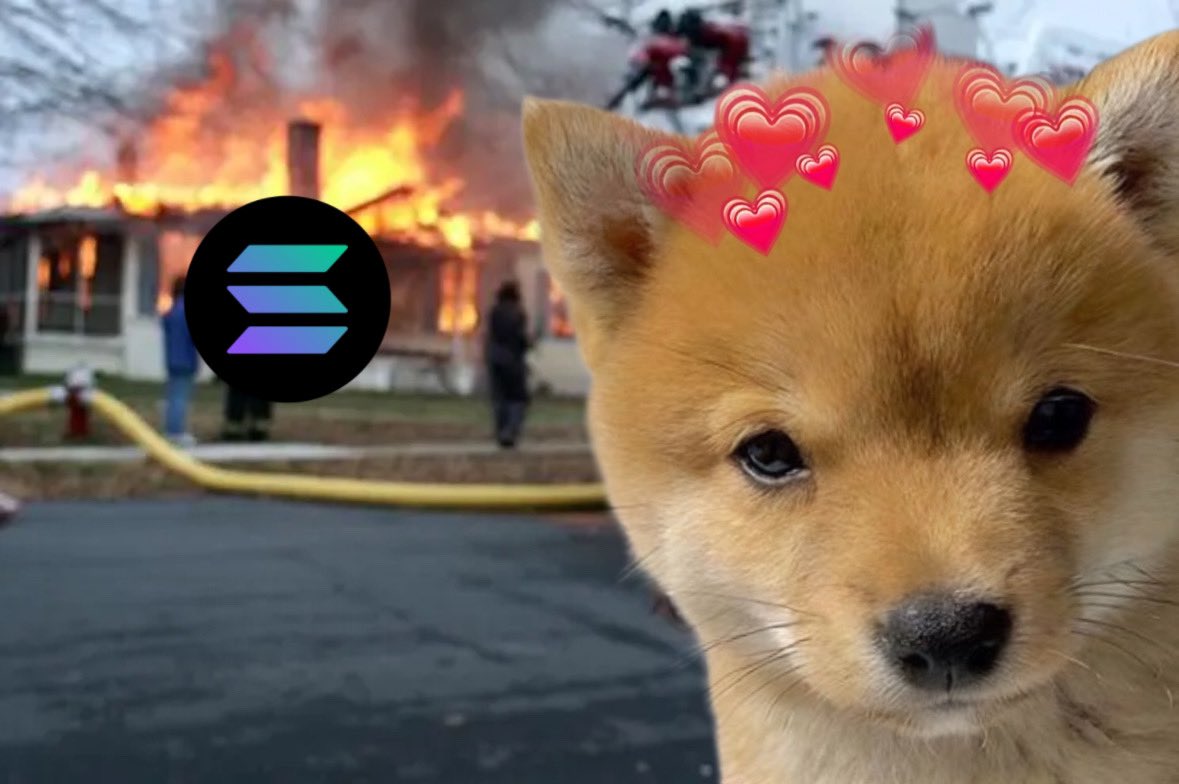 thefloofcoin's tweet photo. hey @solana https://t.co/CxgSUTkUdb